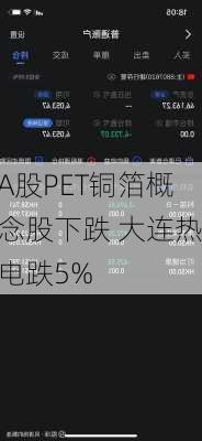 A股PET铜箔概念股下跌 大连热电跌5%