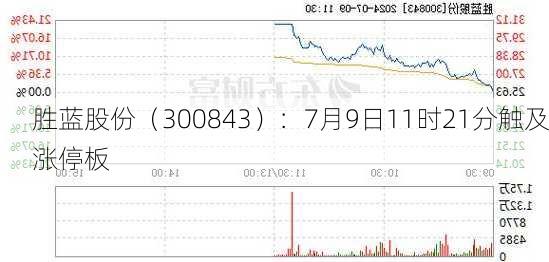 胜蓝股份（300843）：7月9日11时21分触及涨停板