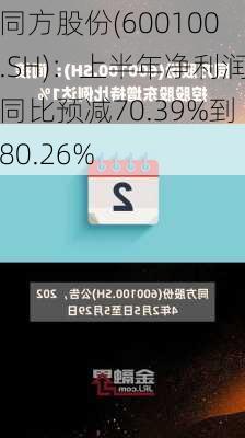 同方股份(600100.SH)：上半年净利润同比预减70.39%到80.26%