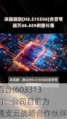 梦百合(603313.SH)：公司目前为南通支云战略合作伙伴