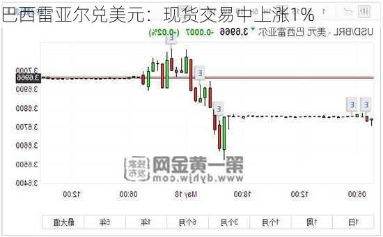 巴西雷亚尔兑美元：现货交易中上涨1%