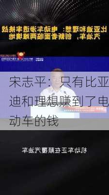 宋志平：只有比亚迪和理想赚到了电动车的钱