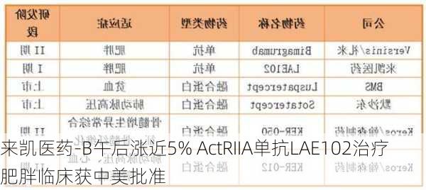 来凯医药-B午后涨近5% ActRIIA单抗LAE102治疗肥胖临床获中美批准