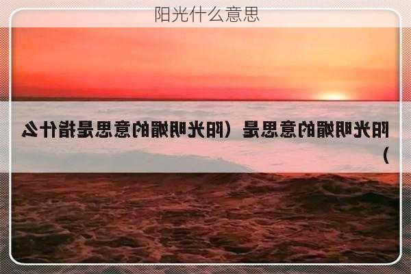 阳光什么意思