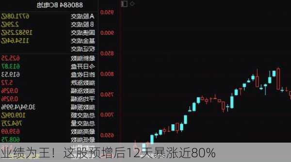 业绩为王！这股预增后12天暴涨近80%