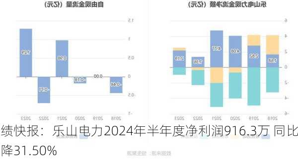 业绩快报：乐山电力2024年半年度净利润916.3万 同比下降31.50%