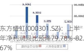 东方盛虹(000301.SZ)：上半年净利润同比预降79.78%-82.67%