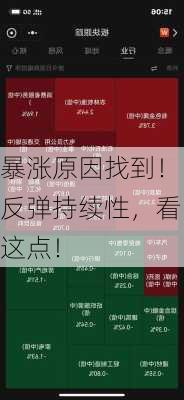 暴涨原因找到！反弹持续性，看这点！