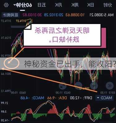 神秘资金已出手，能收阳？