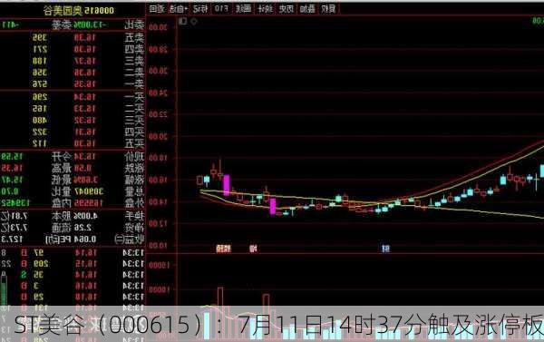 ST美谷（000615）：7月11日14时37分触及涨停板