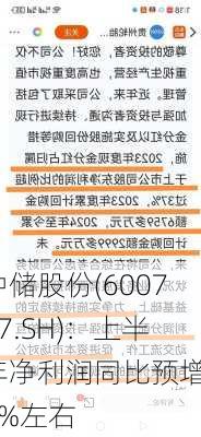 中储股份(600787.SH)：上半年净利润同比预增90%左右