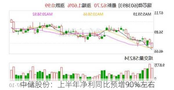 中储股份：上半年净利同比预增90%左右