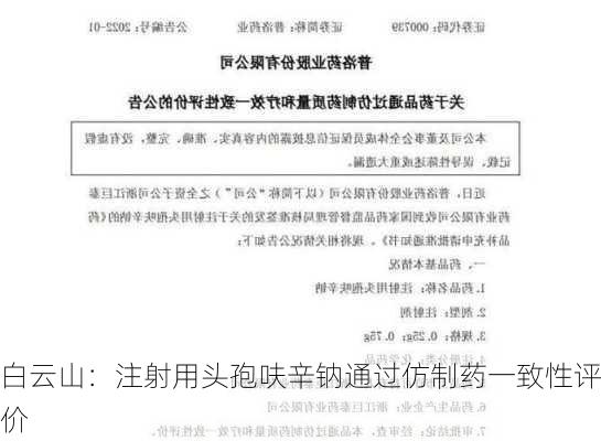 白云山：注射用头孢呋辛钠通过仿制药一致性评价