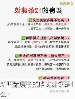 新开盘房子的购买建议是什么？