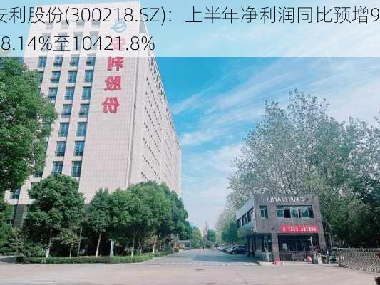 安利股份(300218.SZ)：上半年净利润同比预增9348.14%至10421.8%