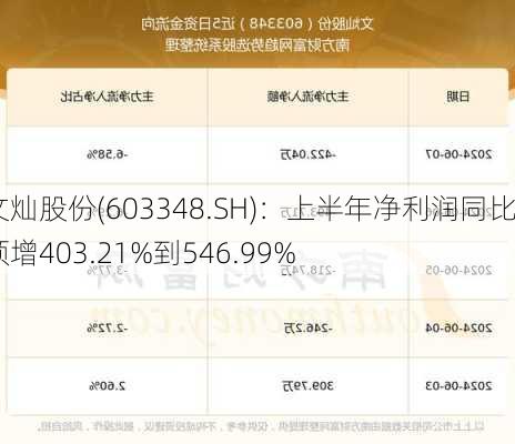 文灿股份(603348.SH)：上半年净利润同比预增403.21%到546.99%