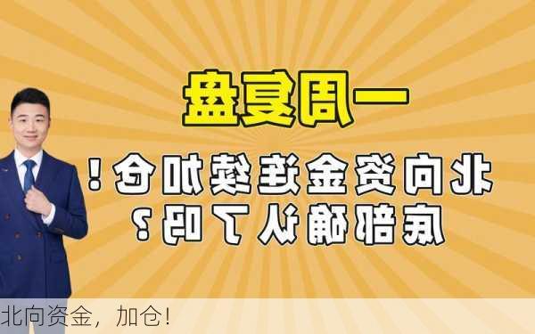 北向资金，加仓！