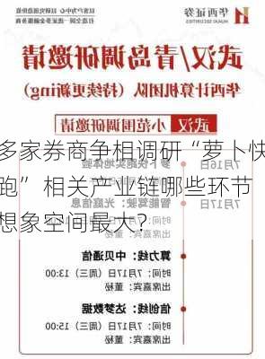 多家券商争相调研“萝卜快跑” 相关产业链哪些环节想象空间最大？