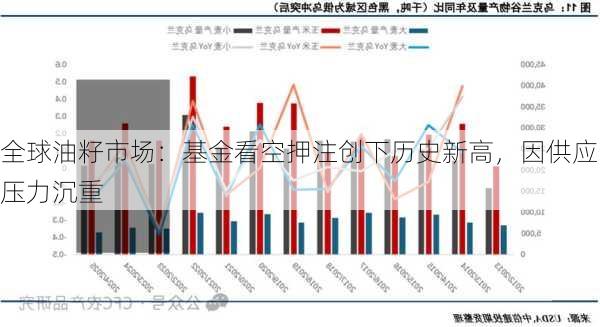 全球油籽市场：基金看空押注创下历史新高，因供应压力沉重