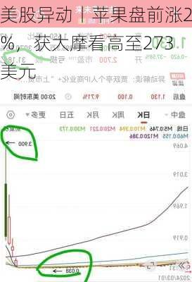 美股异动丨苹果盘前涨2%，获大摩看高至273美元