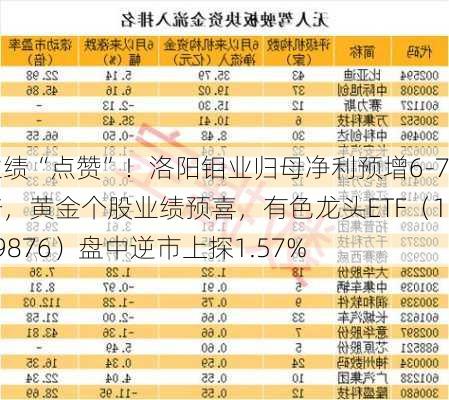 业绩“点赞”！洛阳钼业归母净利预增6-7倍，黄金个股业绩预喜，有色龙头ETF（159876）盘中逆市上探1.57%