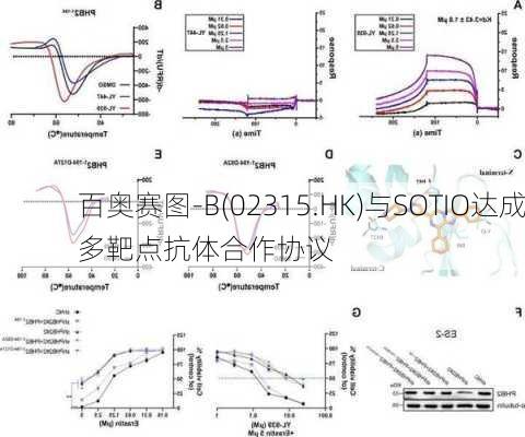 百奥赛图-B(02315.HK)与SOTIO达成多靶点抗体合作协议