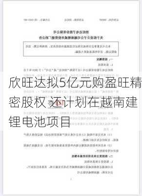 欣旺达拟5亿元购盈旺精密股权 还计划在越南建锂电池项目