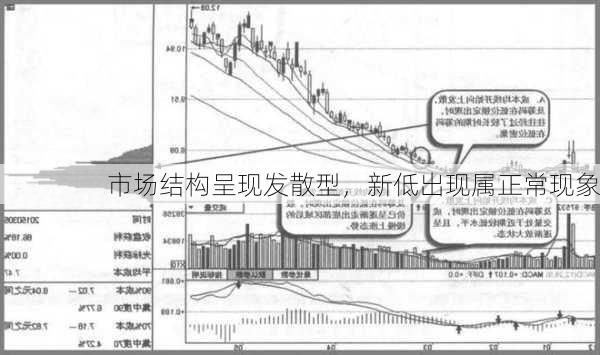 市场结构呈现发散型，新低出现属正常现象