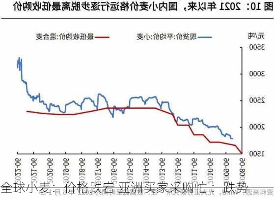 全球小麦：价格跌宕 亚洲买家采购忙 ：跌势