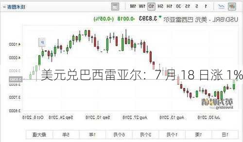 美元兑巴西雷亚尔：7 月 18 日涨 1%