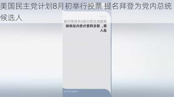 美国民主党计划8月初举行投票 提名拜登为党内总统候选人