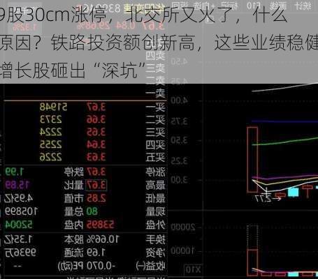 9股30cm涨停，北交所又火了，什么原因？铁路投资额创新高，这些业绩稳健增长股砸出“深坑”