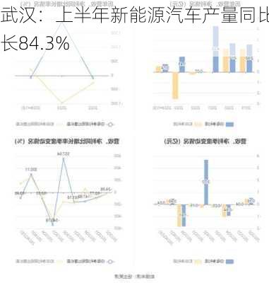 武汉：上半年新能源汽车产量同比增长84.3%