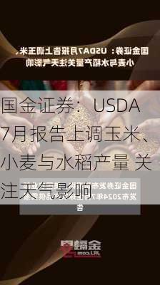 国金证券：USDA7月报告上调玉米、小麦与水稻产量 关注天气影响