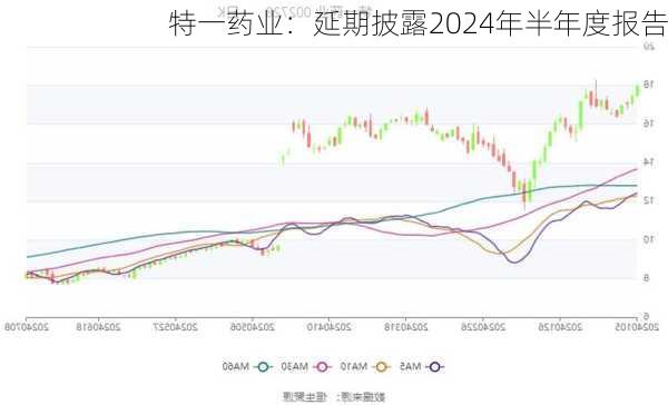 特一药业：延期披露2024年半年度报告