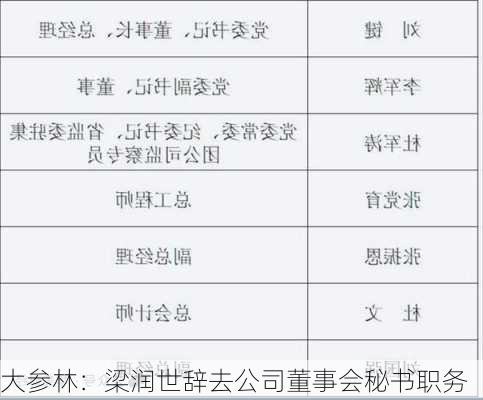 大参林：梁润世辞去公司董事会秘书职务