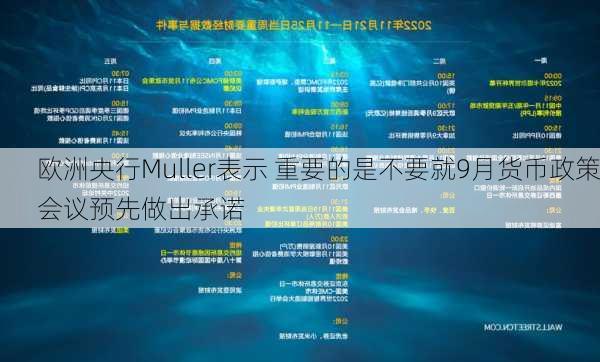 欧洲央行Muller表示 重要的是不要就9月货币政策会议预先做出承诺