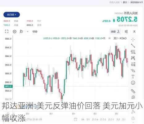 邦达亚洲:美元反弹油价回落 美元加元小幅收涨