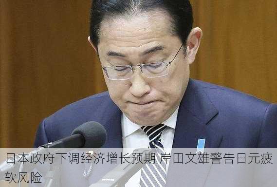 日本政府下调经济增长预期 岸田文雄警告日元疲软风险