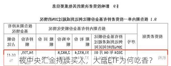 被中央汇金持续买入，大盘ETF为何吃香？