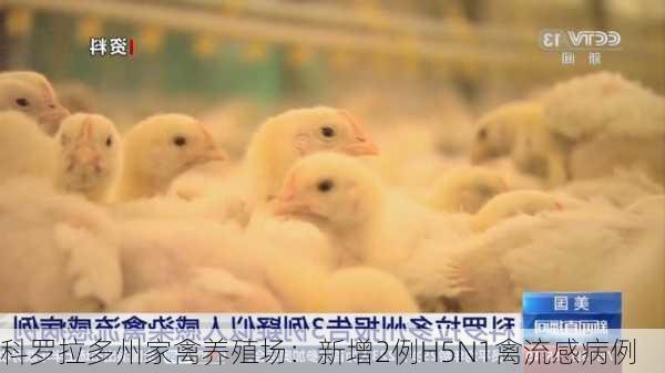 科罗拉多州家禽养殖场：新增2例H5N1禽流感病例