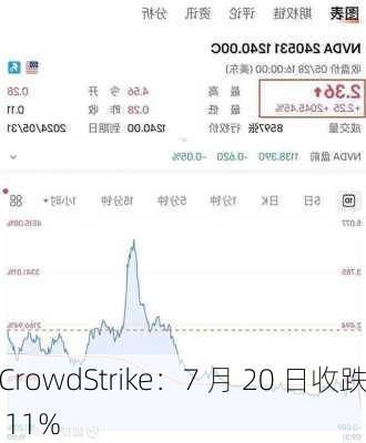 CrowdStrike：7 月 20 日收跌 11%