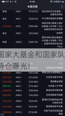 国家大基金和国家队持仓曝光！