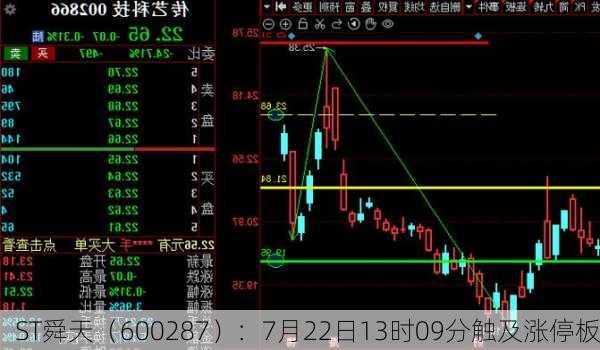 ST舜天（600287）：7月22日13时09分触及涨停板