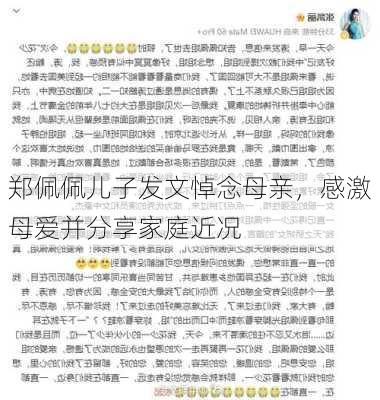 郑佩佩儿子发文悼念母亲，感激母爱并分享家庭近况