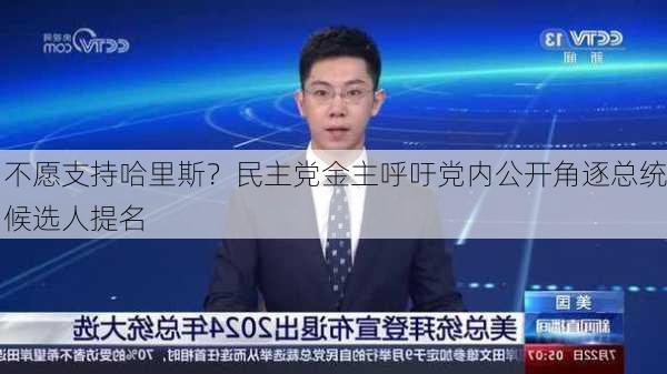 不愿支持哈里斯？民主党金主呼吁党内公开角逐总统候选人提名