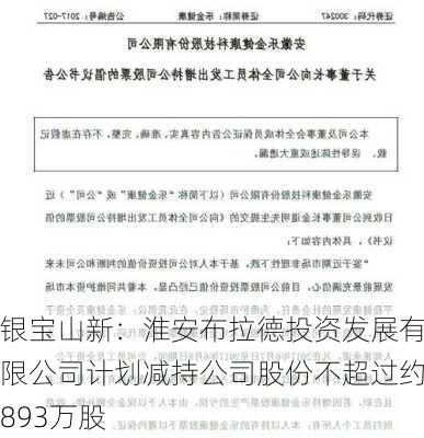 银宝山新：淮安布拉德投资发展有限公司计划减持公司股份不超过约893万股