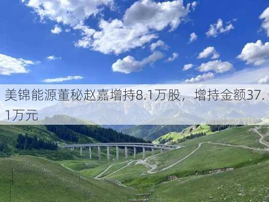 美锦能源董秘赵嘉增持8.1万股，增持金额37.1万元