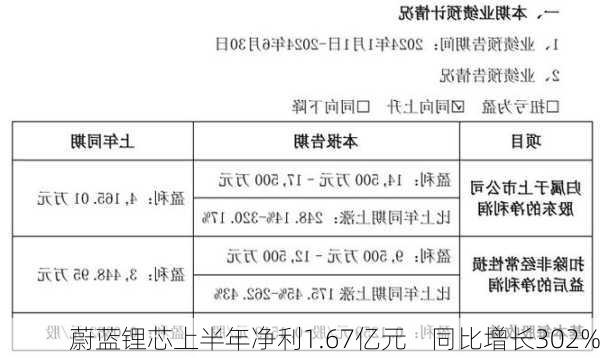 蔚蓝锂芯上半年净利1.67亿元    同比增长302%