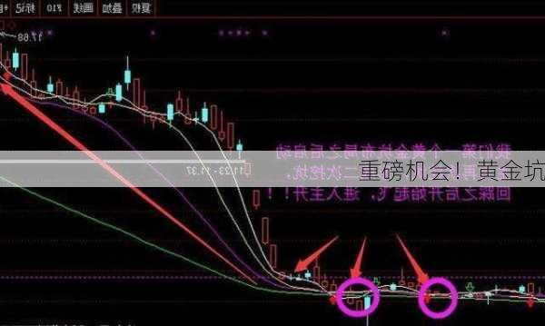 重磅机会！黄金坑